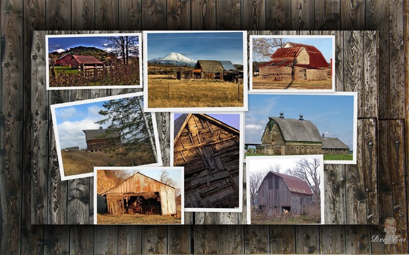 Barn collage on wood wall