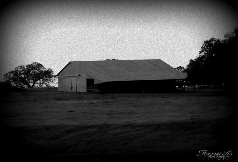 Barn in a Field