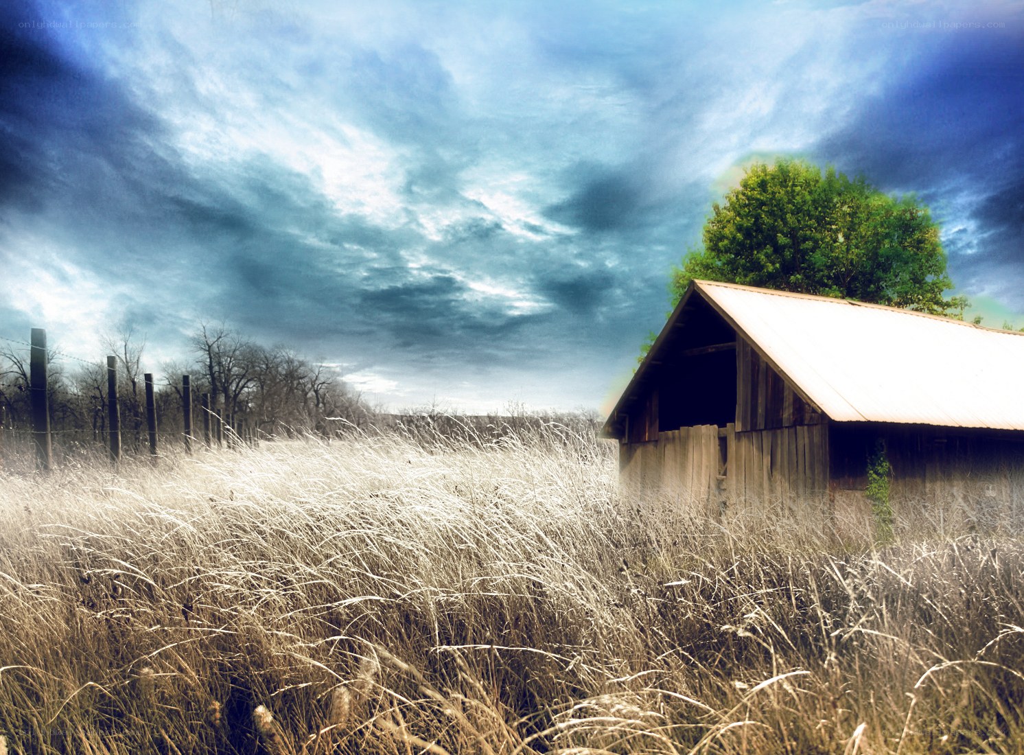 Barn in a field under stormy sky