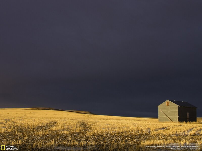 Barn in a golden field