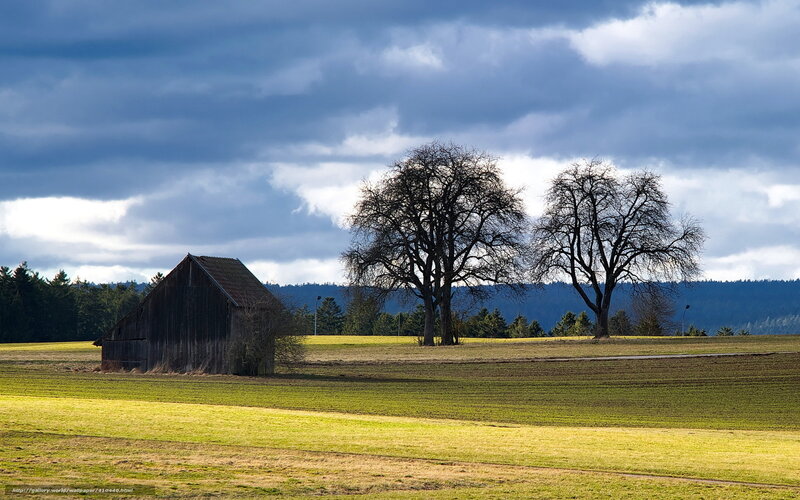 Barn in a green field