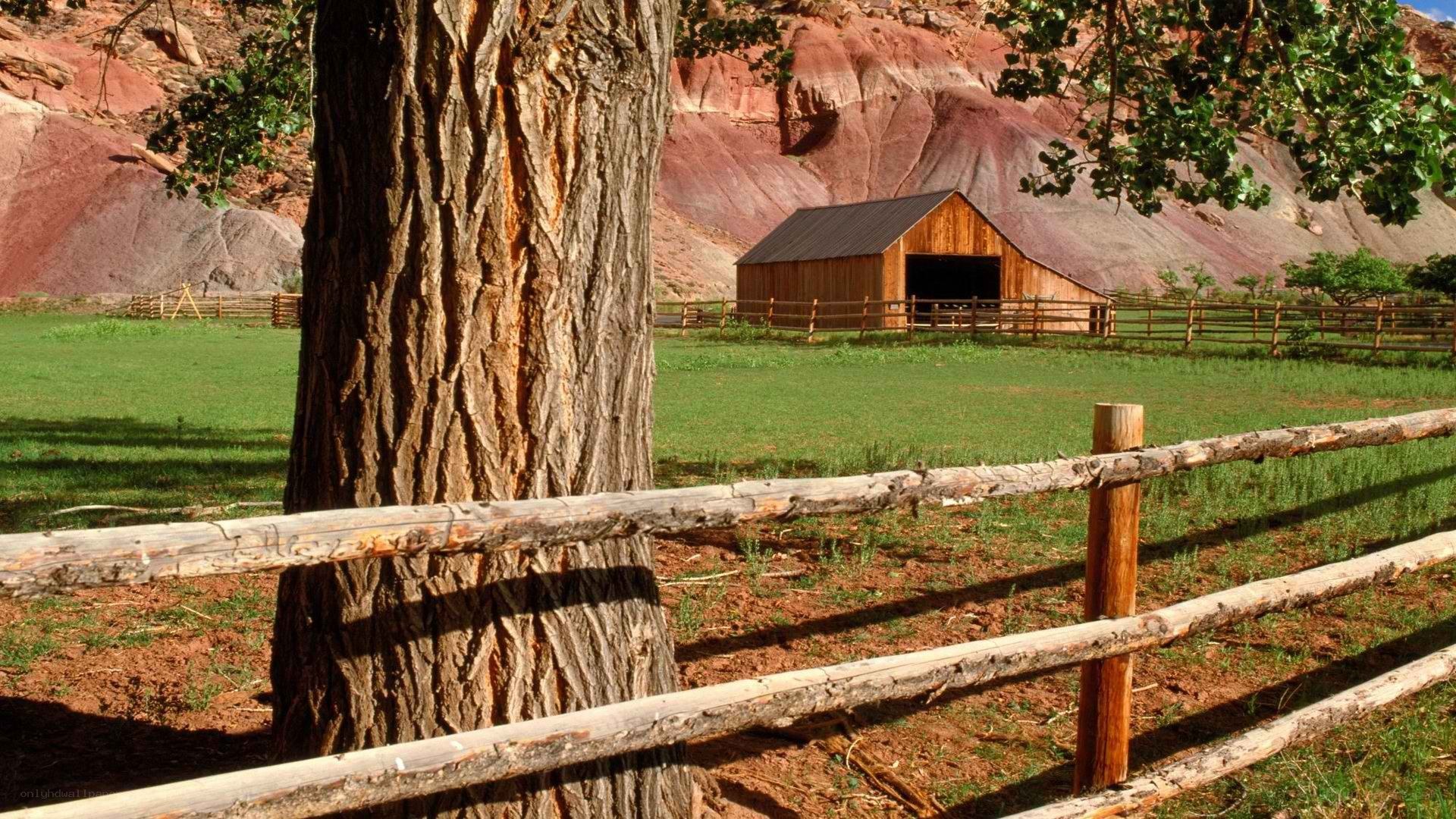 Barn in a green valley