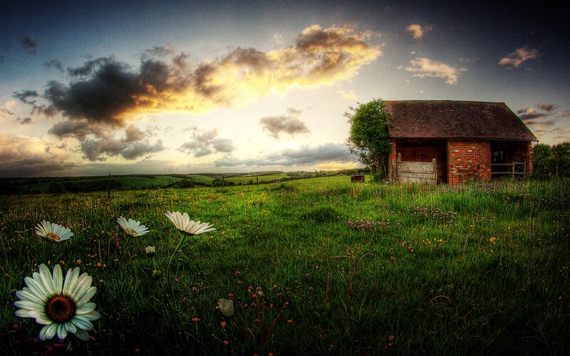 Barn in a Meadow