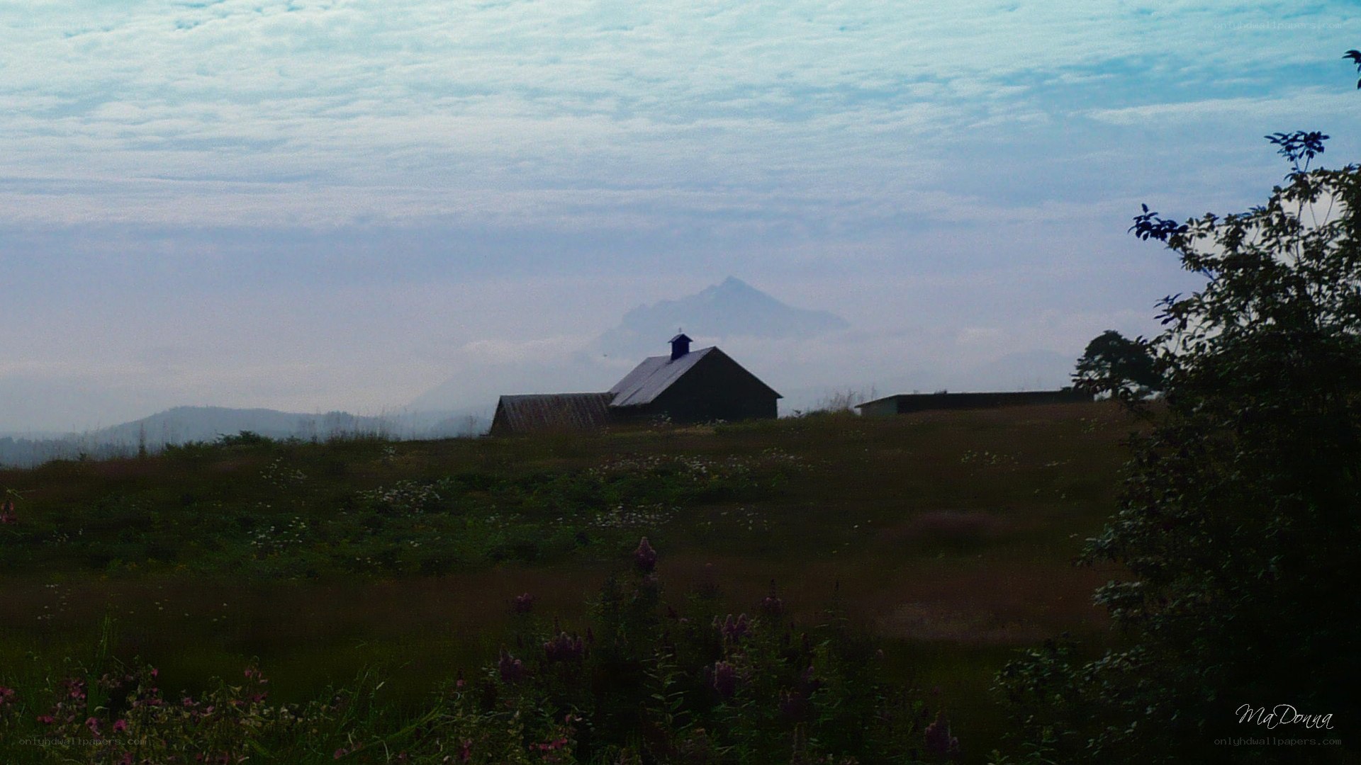 Barn in a misty field