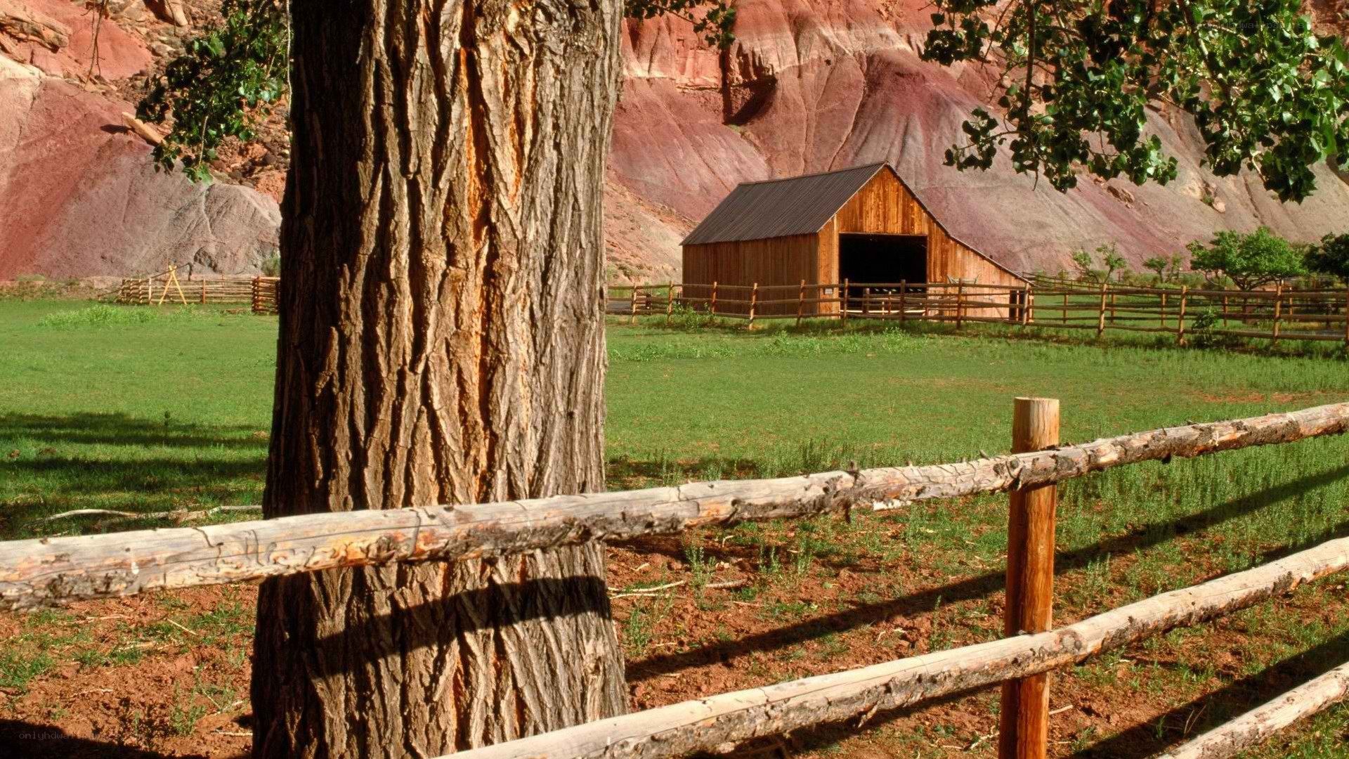 Barn in a red rock valley