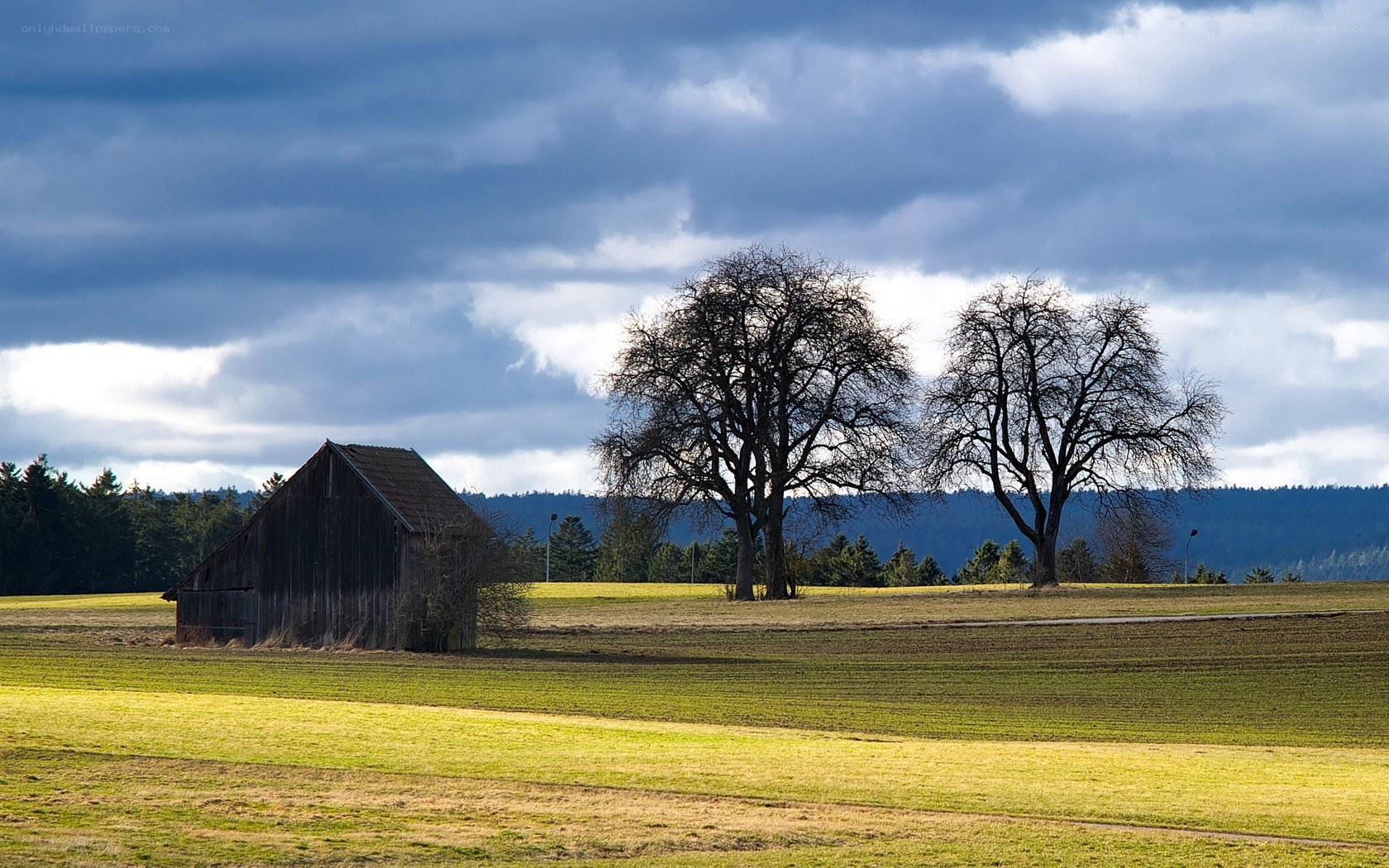 Barn in a rural field