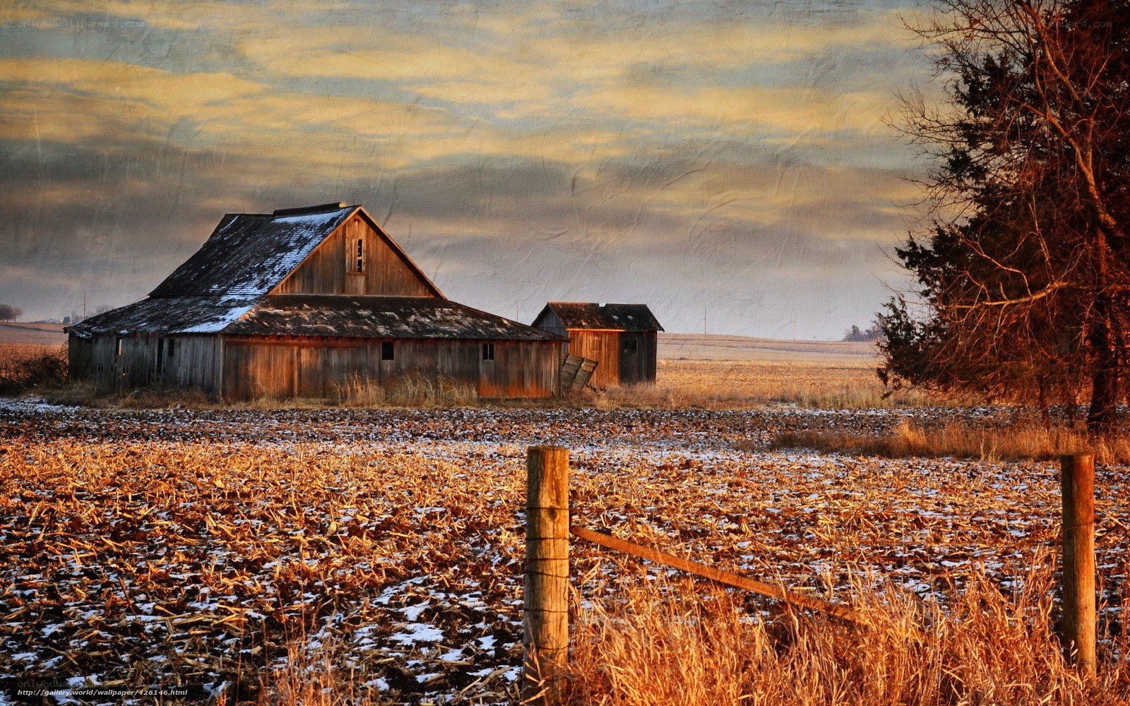 Barn in a snowy field