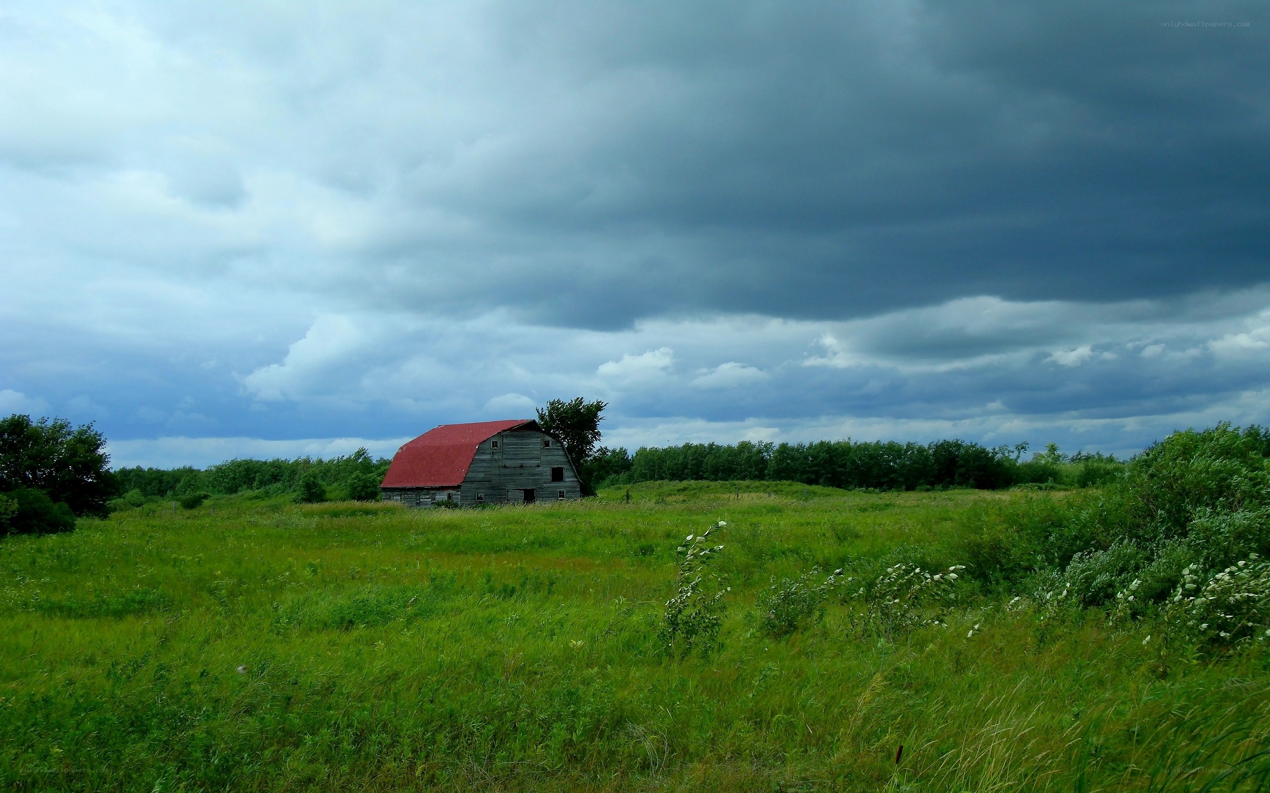 Barn in a stormy field