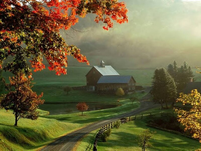 Barn in Autumn Field — Green, Serene