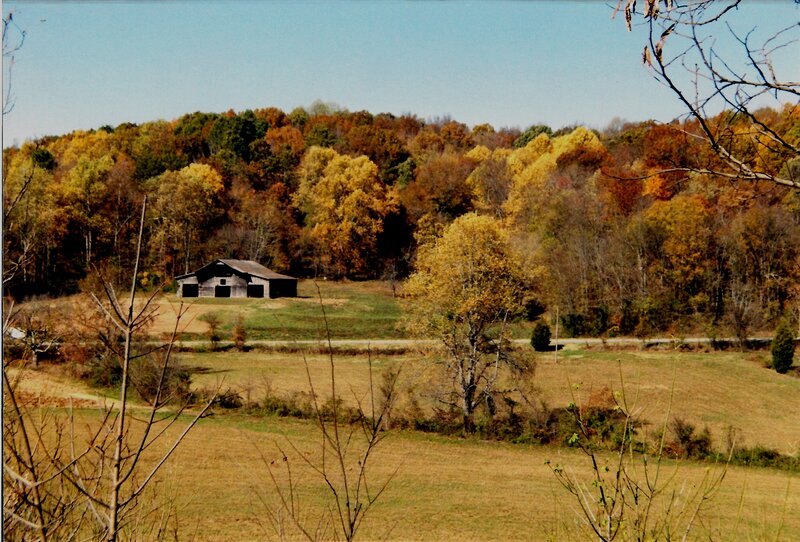 Barn in Autumn Field — Green