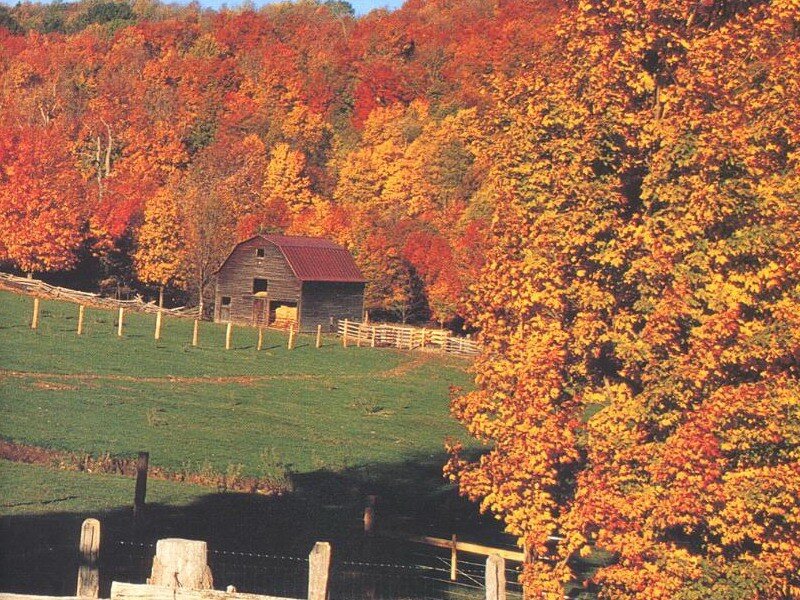 Barn in Autumn Field — Orange, Serene