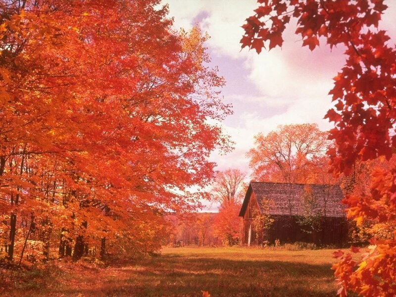 Barn in Autumn Forest — Red, Serene