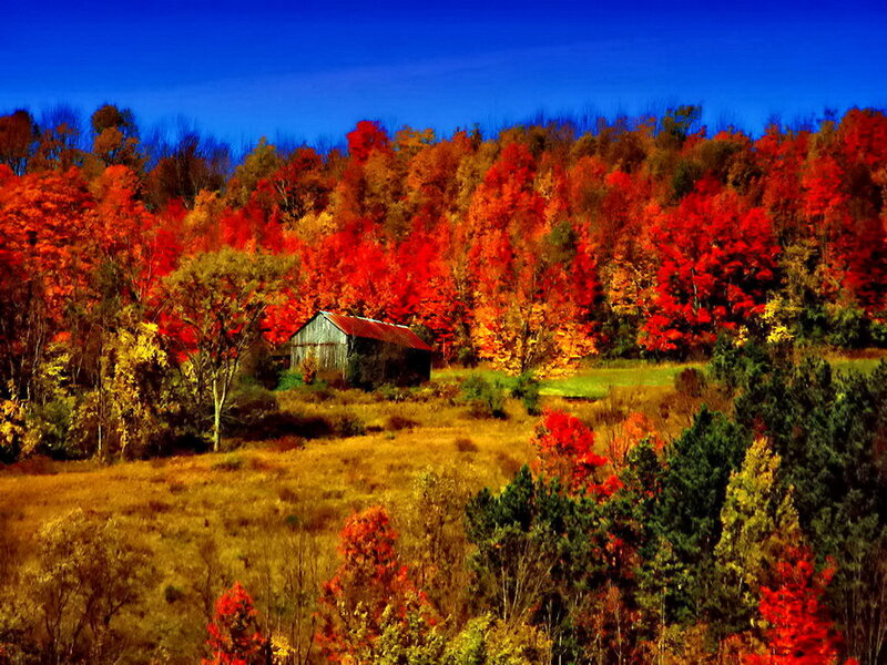 Barn in Autumn Forest — Red