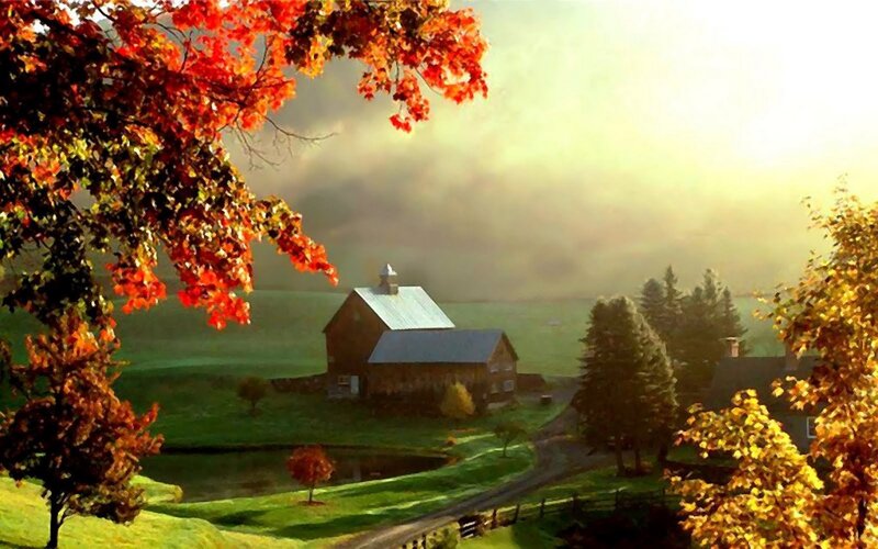 Barn in Autumn Landscape — Green