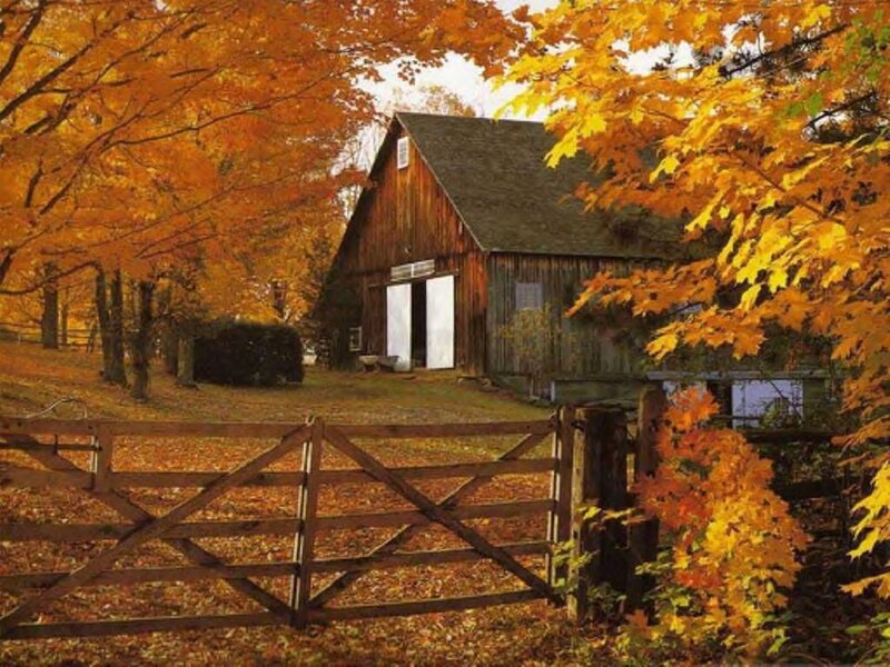 Barn in Autumn — Orange