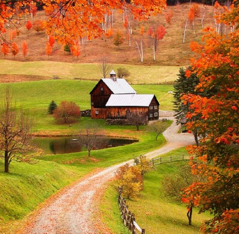 Barn in Autumn Valley — Orange