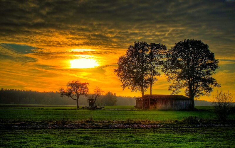 Barn in Field at Sunset — Green