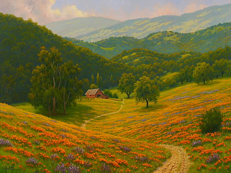 Barn in Flower Field