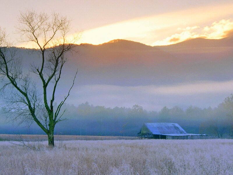 Barn in Frosty Field