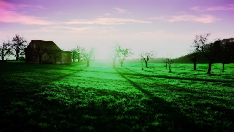 Barn in Green Field — Serene, Morning