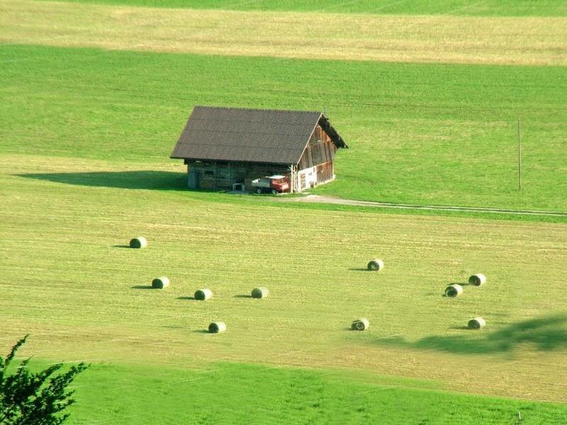 Barn in Green Field — Serene
