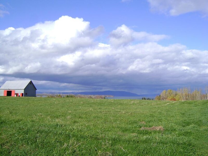 Barn in Green Field