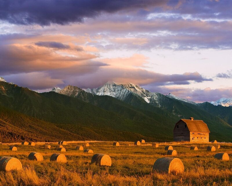Barn in Hay Field