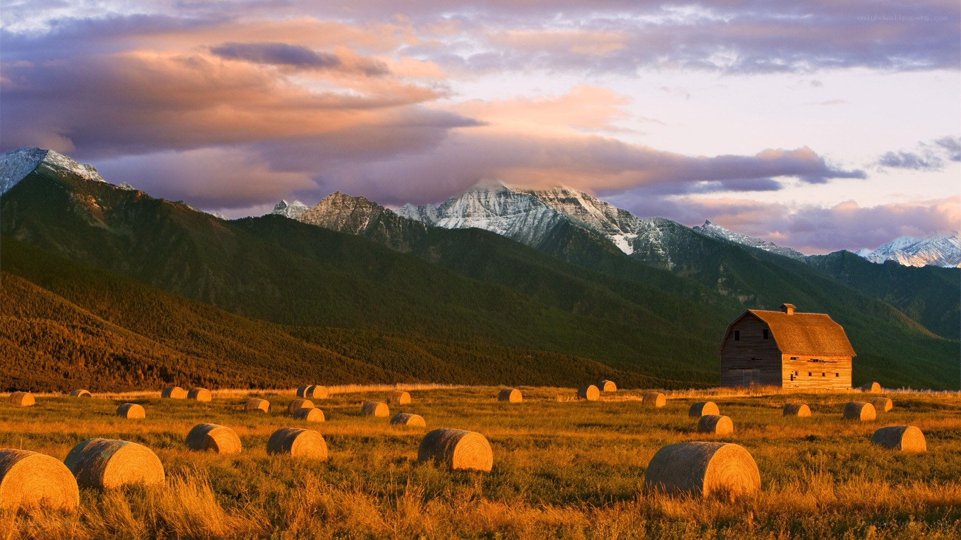 Barn in hay field with mountains