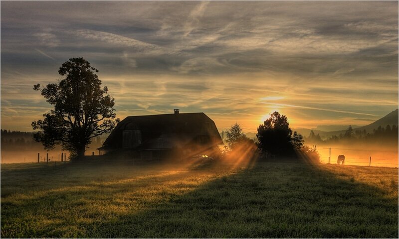 Barn in Misty Field