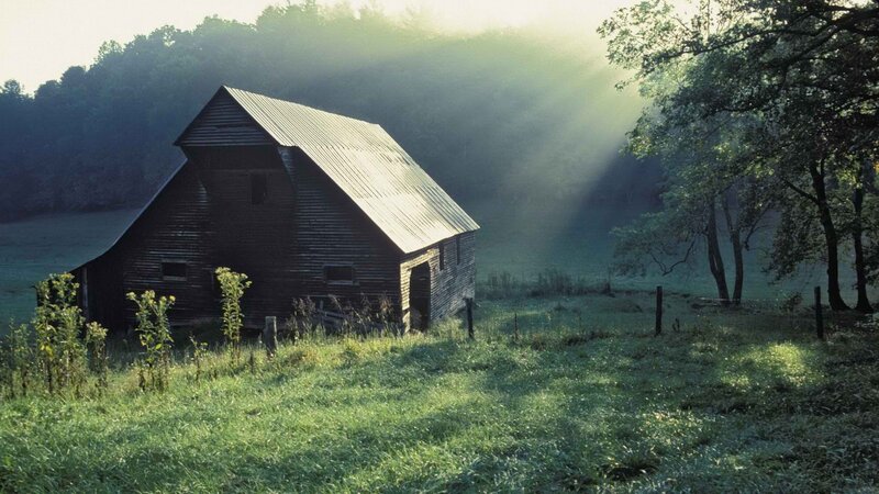 Barn in morning mist