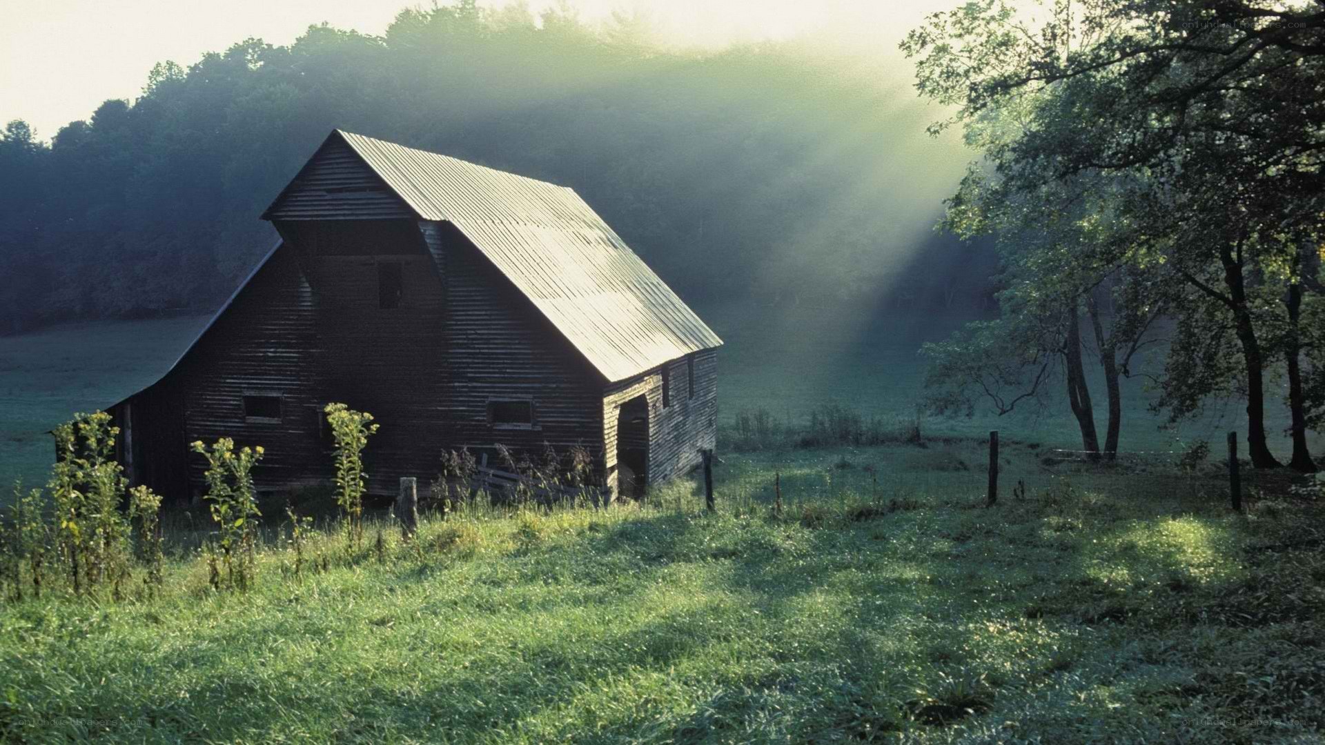 Barn in morning mist