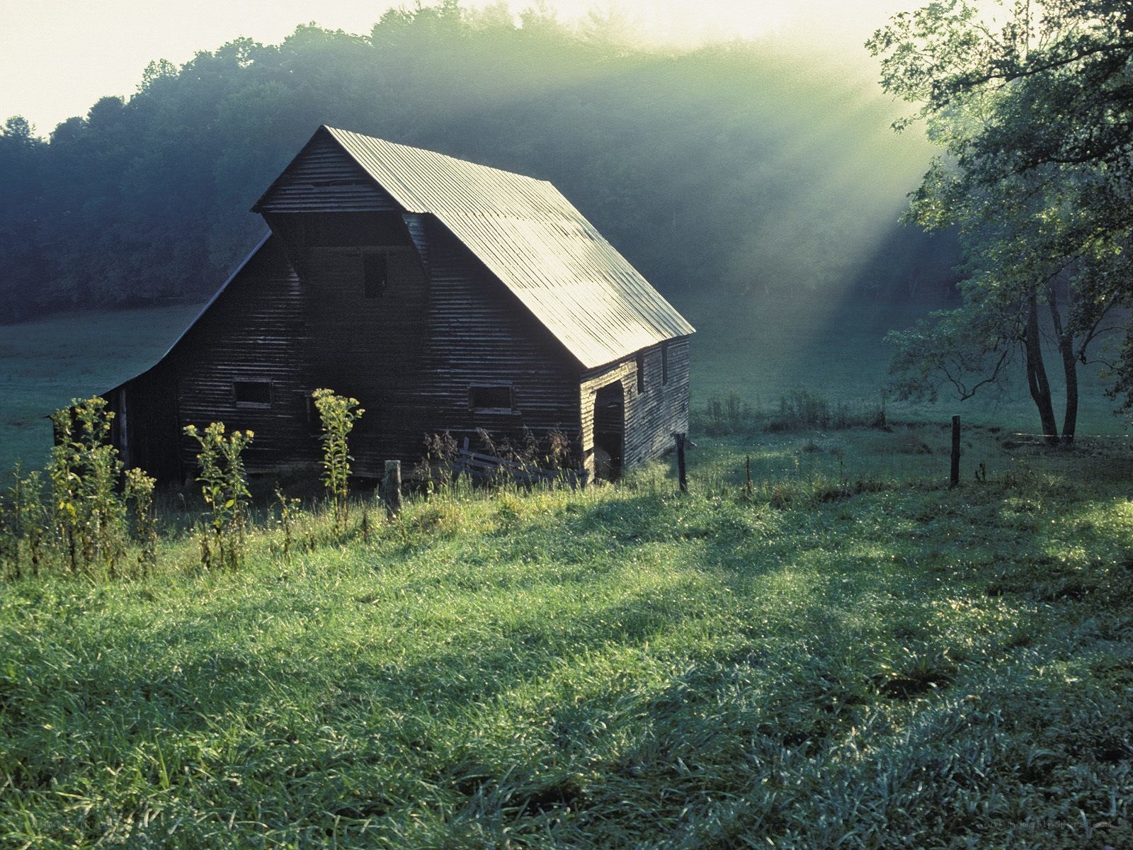Barn in morning mist