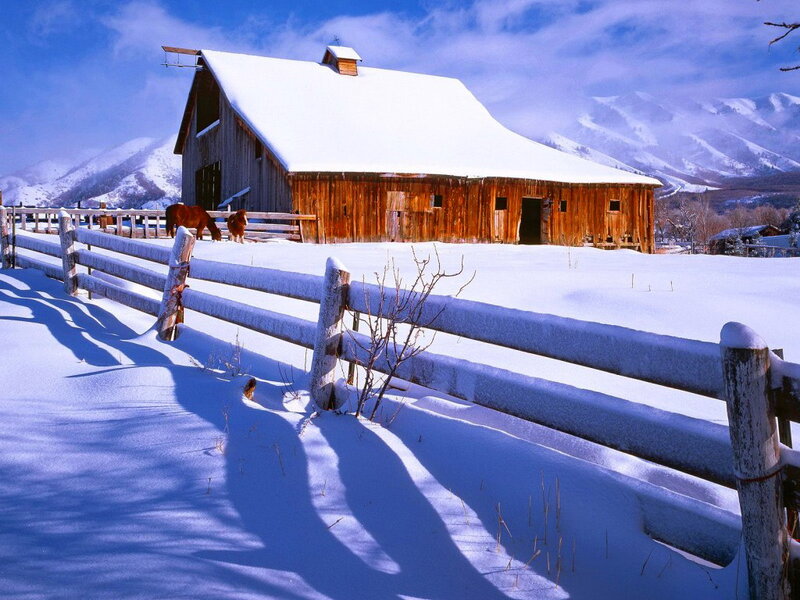 Barn in Snow