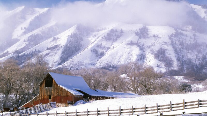 Barn in Snowy Landscape — White, Serene