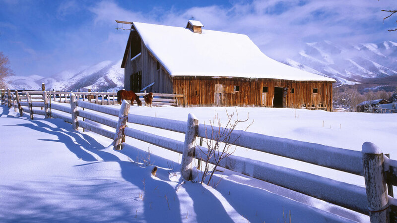 Barn in Snowy Landscape — White