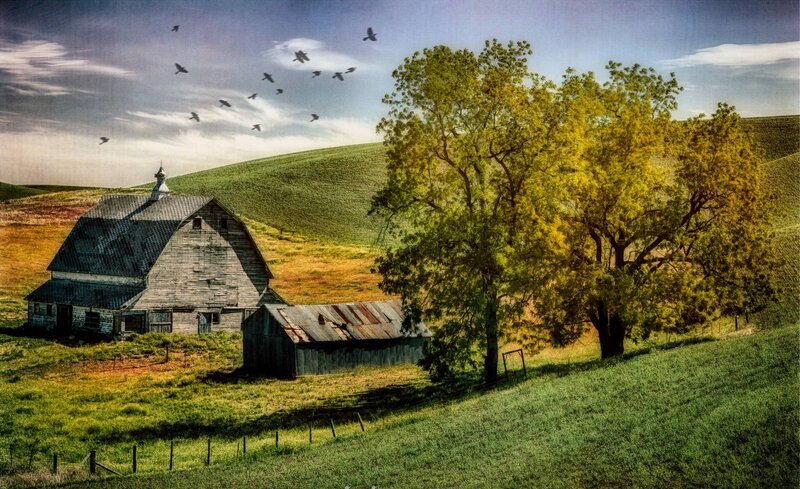 Barn on a Hillside — Green