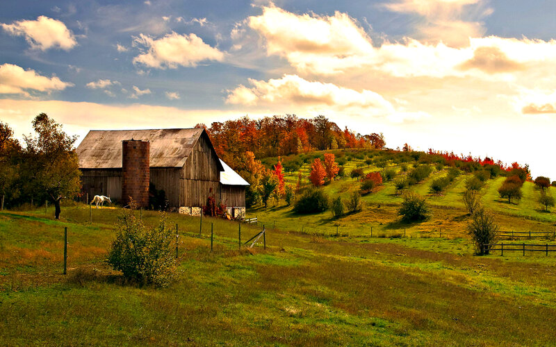 Barn on Autumn Hillside