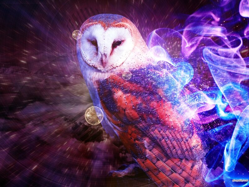 Barn Owl in Cosmic Scene