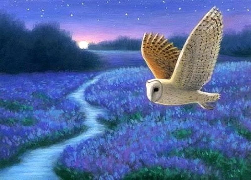 Barn Owl in Flight — Purple, Serene