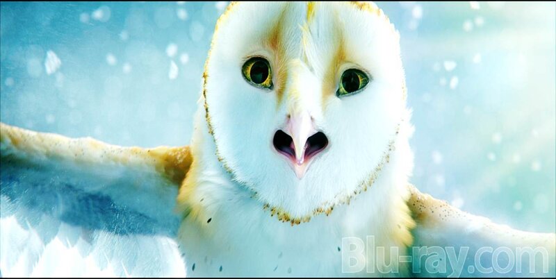 Barn Owl in Flight — White, Serene