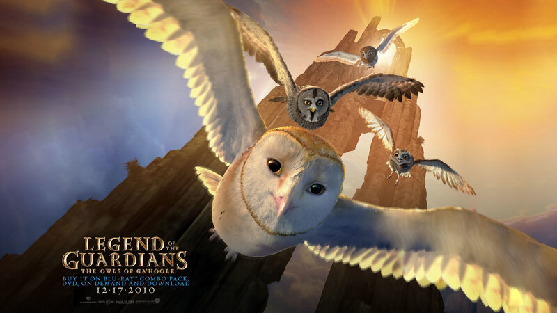 Barn Owl in Flight — Yellow
