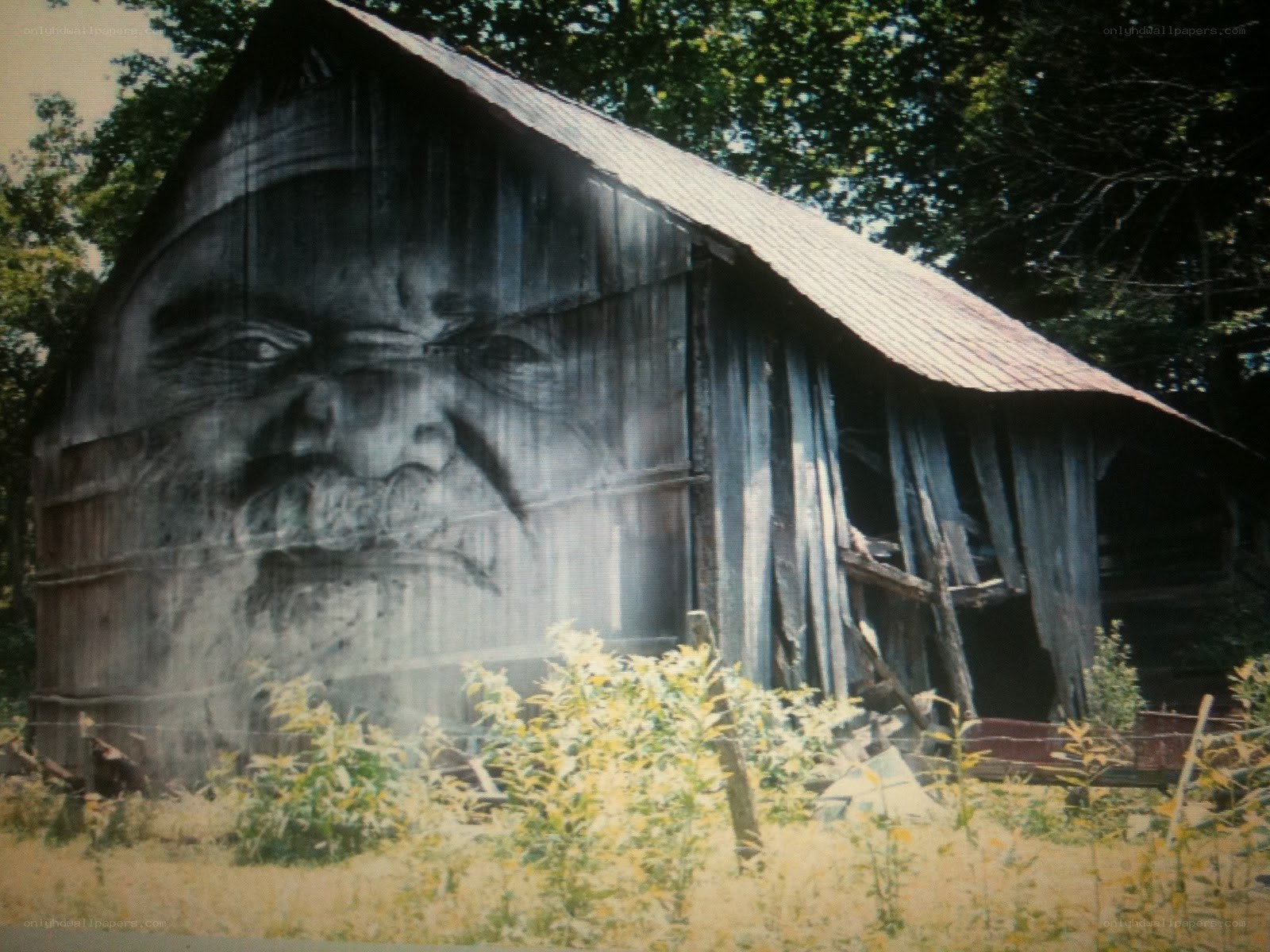 Barn with face mural