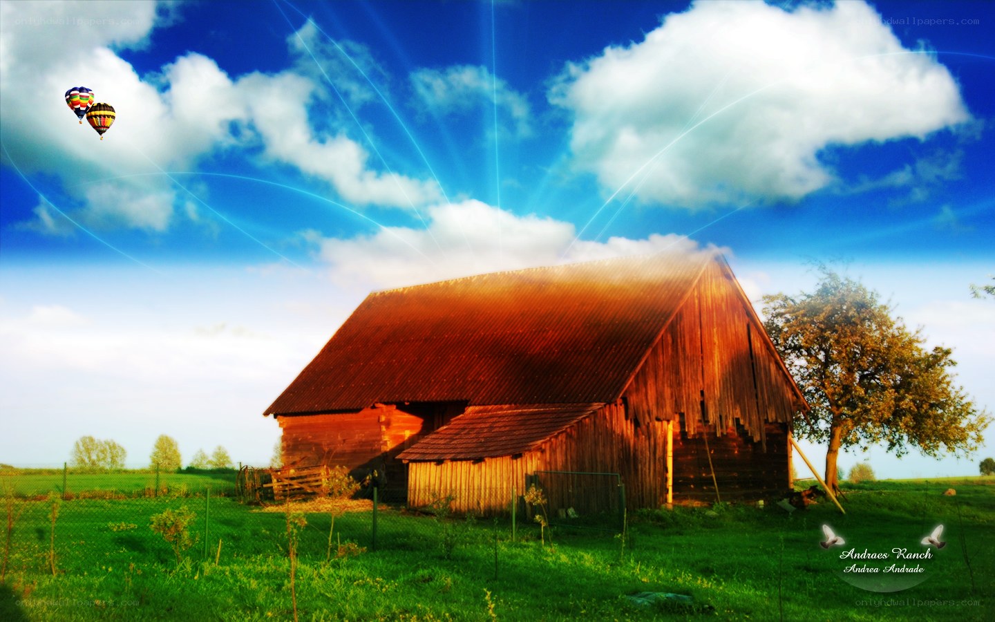 Barn with hot air balloons