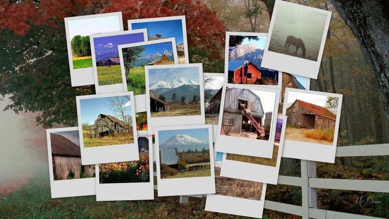 Barns and Mountains Collage