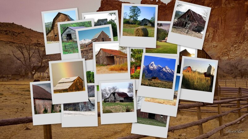 Barns collage in desert