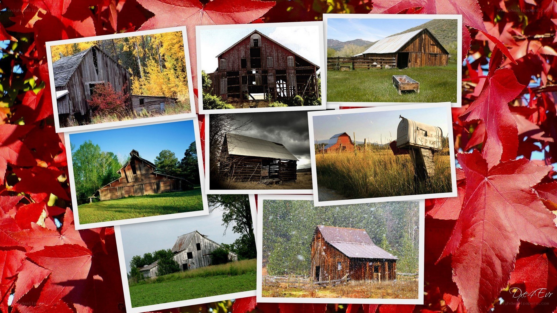 Barns in autumn collage