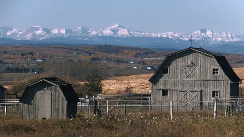 Barns in Rural Landscape