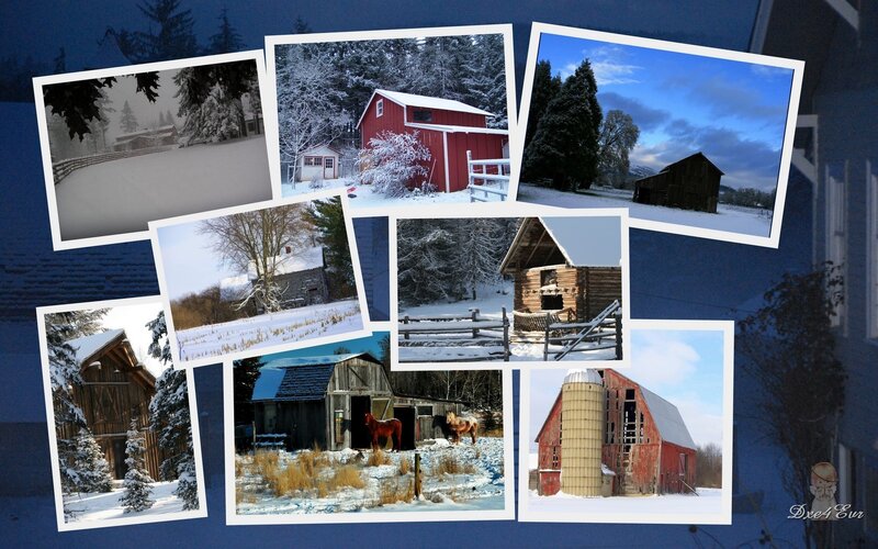 Barns in Winter