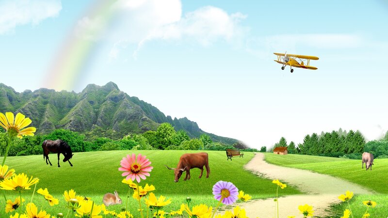 Barnyard Animals in Field