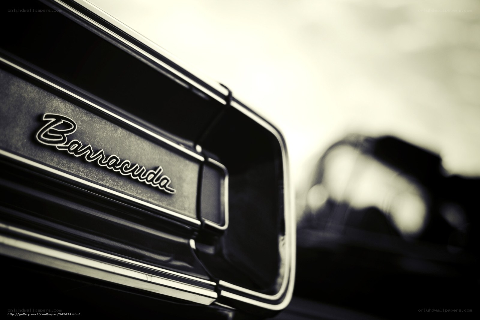 Barracuda car emblem close-up